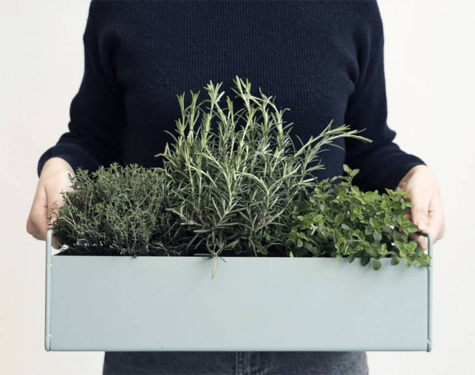 Plant Box - Small - Light Grey